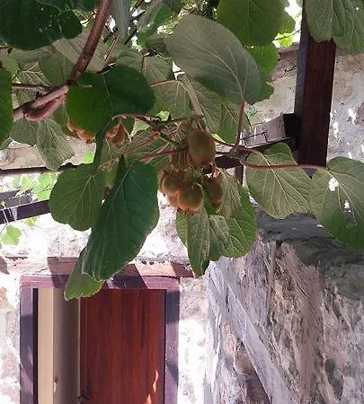 Πανσιόν Rooms Pocitelj